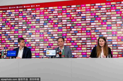 前沙尔克队长费尔曼宣布退役：37岁回顾德甲亚军之路，国家队梦未圆的背后故事！